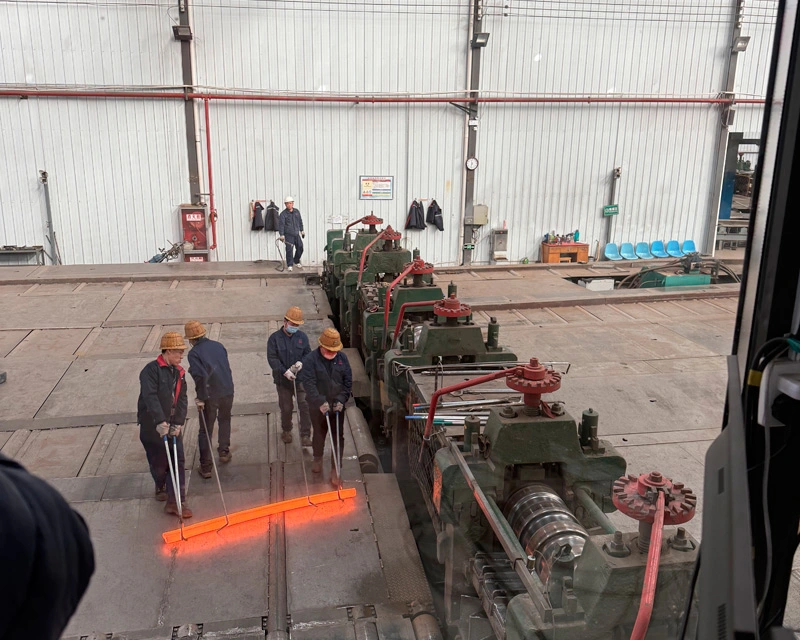 FY MED内視鏡卸売